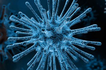 Emergenza Peste Suina Africana 8psa) - Ordinanza Del Commissario Straordinario Per La Peste Suina Africana N. 4 Del 28 Giugno 2022